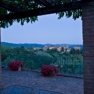 the view from the terrace.jpg