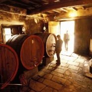 Volpaia wine cellar
